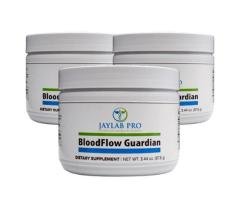 BloodFlow Guardian - healthy blood pressure