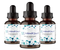 Boost Your Mind with MindQuell: Unlock Your Potential!